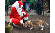 Am 3. Dezember ist es wieder so weit: Der TierNikolaus beschenkt Tierheimschützlinge und Kinder in der Süderstraße