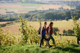 Wandern im Taubertal – Wanderwege und Wandertipps