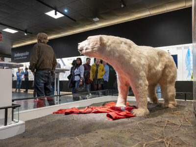 Lange Nacht der Museen Hamburg