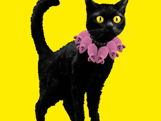 Ausstellung im MARKK: Katzen!