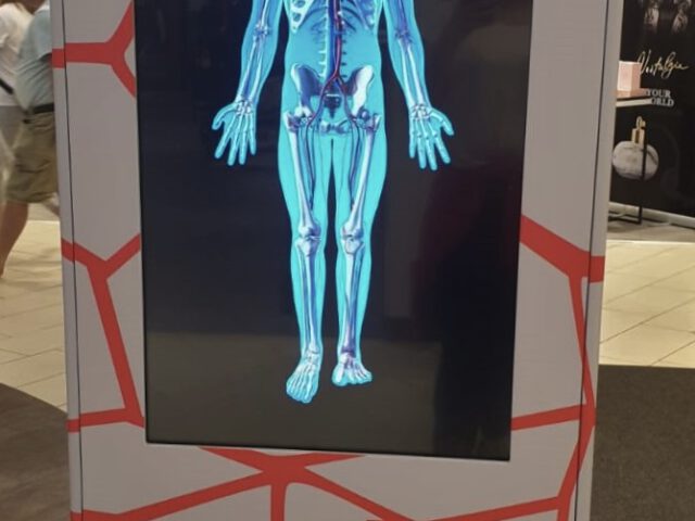 Faszination Mensch: Interaktive Ausstellung im QUARREE lädt zur Entdeckungsreise durch den Körper ein