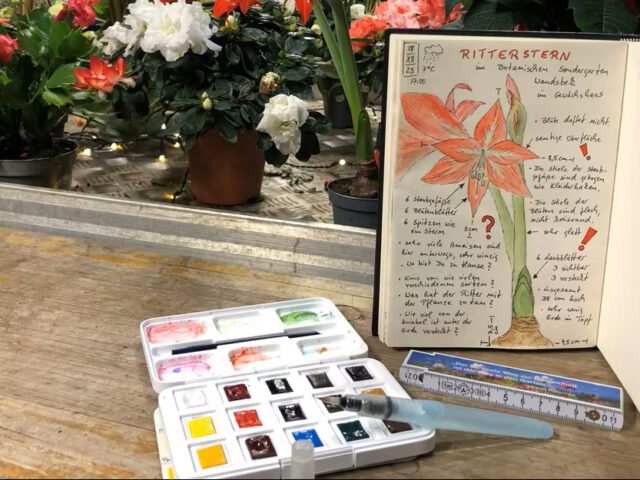 Florales Weihnachts-Atelier im Botanischen Sondergarten Wandsbek